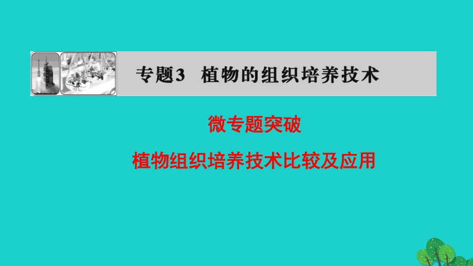 2016-2017學(xué)年高中生物專題3植物的組織培養(yǎng)技術(shù)植物組織培養(yǎng)技術(shù)比較及應(yīng)用微專題突破課件新人教版選修.ppt_第1頁(yè)