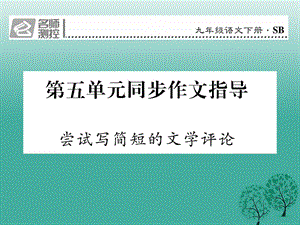 2017春九年級語文下冊第五單元同步作文指導嘗試寫簡短的文學評論課件新版蘇教版.ppt