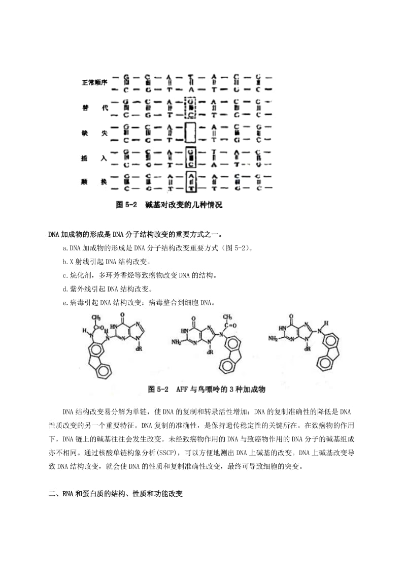 肿瘤发生的分子生物学基础.doc_第2页