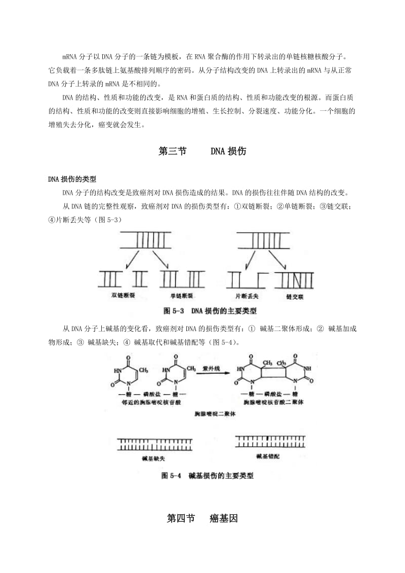 肿瘤发生的分子生物学基础.doc_第3页