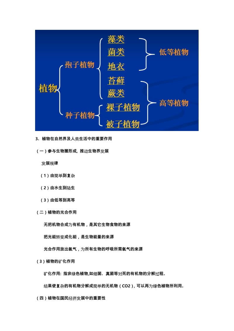 植物学考研笔记(超详细).doc_第3页