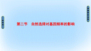 2016-2017版高中生物第4單元遺傳變異與進化第1章生物進化理論第2節(jié)自然選擇對基因頻率的影響課件中圖版必修2.ppt