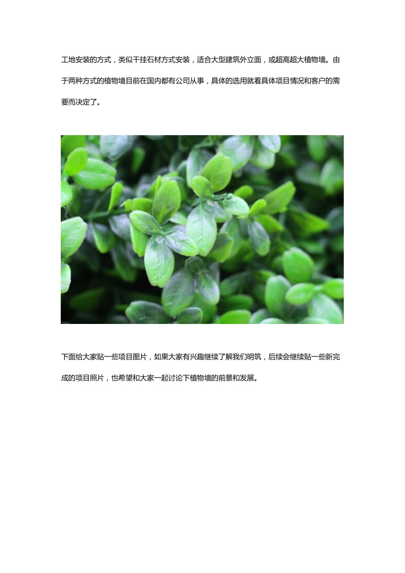 植物墙～建筑立面设计及新思路.doc_第2页