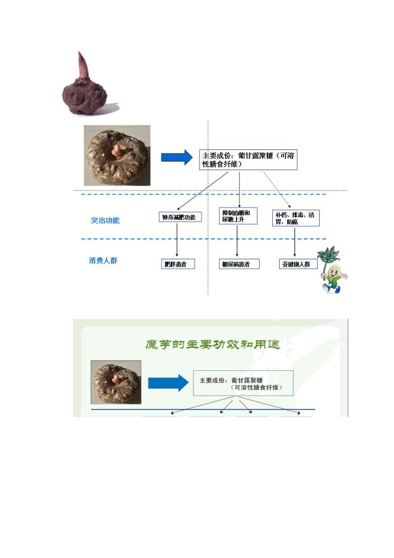 魔芋深加工产业化建设项目初步项目建议书.doc_第3页