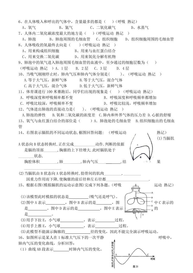 《呼吸过程学案》word版.doc_第3页