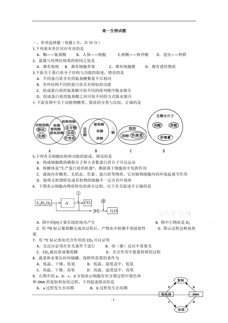 高一生物试题.doc_第1页