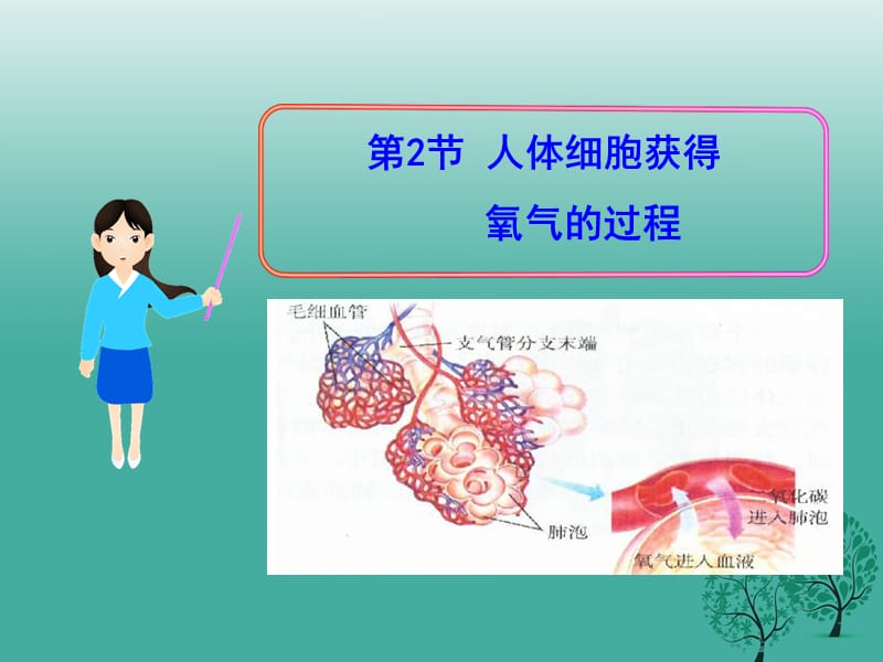 2017年春七年级生物下册10.2人体细胞获得氧气的过程课件1新版北师大版.ppt_第1页