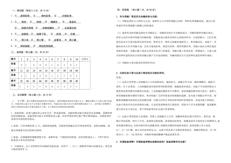 组织学与胚胎学考试试卷.doc_第3页