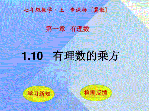 七年級(jí)數(shù)學(xué)上冊(cè) 1.10 有理數(shù)的乘方課件 （新版）冀教版.ppt