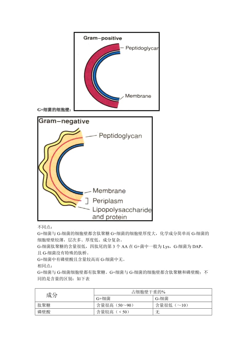 临床邱礼鸿微生物学习题解答.doc_第3页