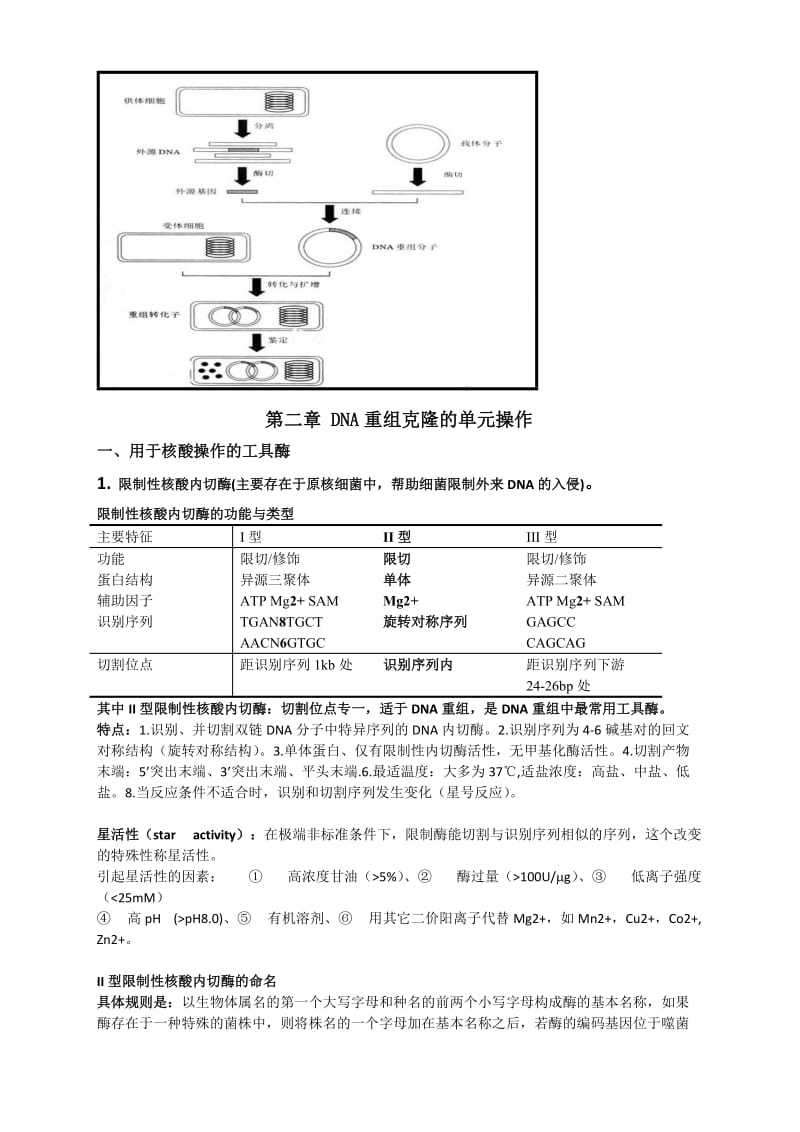 大学《基因工程》复习归纳重点-复习资料.doc_第2页