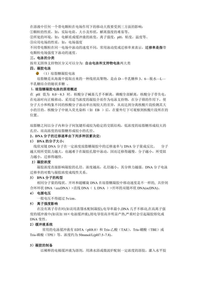 湖南农业大学基因工程重点更具老师整理.doc_第2页