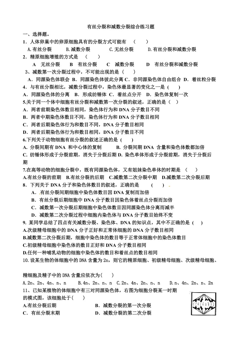 有丝分裂和减数分裂专题练习含答案.doc_第1页