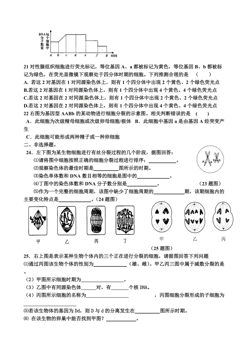 有丝分裂和减数分裂专题练习含答案.doc_第3页