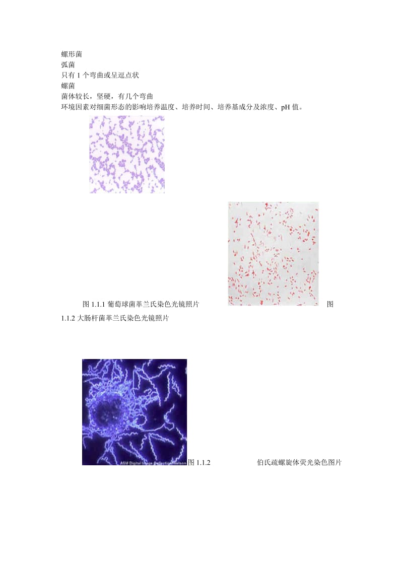 《兽医微生物》word版.doc_第3页