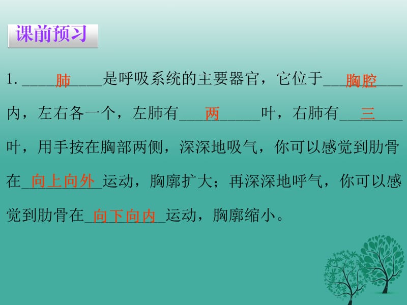 七年级生物下册 第三章 第二节 发生在肺内的气体交换课件 （新版）新人教版1.ppt_第3页