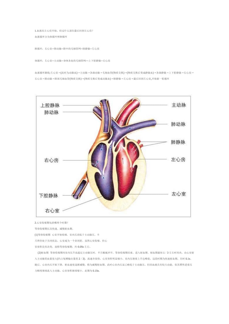 心脏血流动力学.doc_第1页