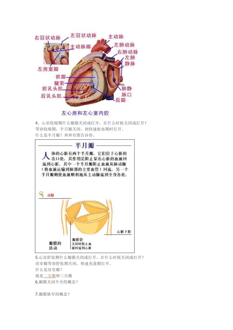 心脏血流动力学.doc_第3页