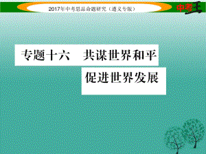 中考政治總復(fù)習(xí) 第二編 中考熱點(diǎn)速查篇 專(zhuān)題十六 共謀世界和平 促進(jìn)世界發(fā)展課件.ppt