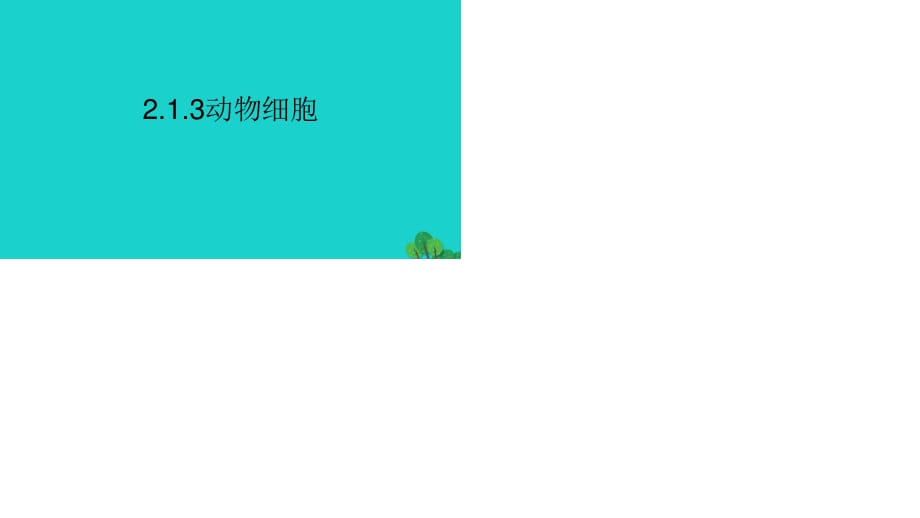 七年級(jí)生物上冊(cè) 第二單元 第一章 第三節(jié) 動(dòng)物細(xì)胞課件 （新版）新人教版.ppt_第1頁(yè)