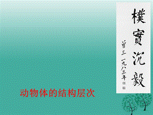 七年級(jí)生物上冊(cè) 2_2_2 動(dòng)物體的結(jié)構(gòu)層次課件 （新版）新人教版1.ppt