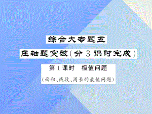 中考數(shù)學(xué) 第三輪 專題突破 挑戰(zhàn)滿分 綜合大專題五 壓抽題突破課件 新人教版.ppt