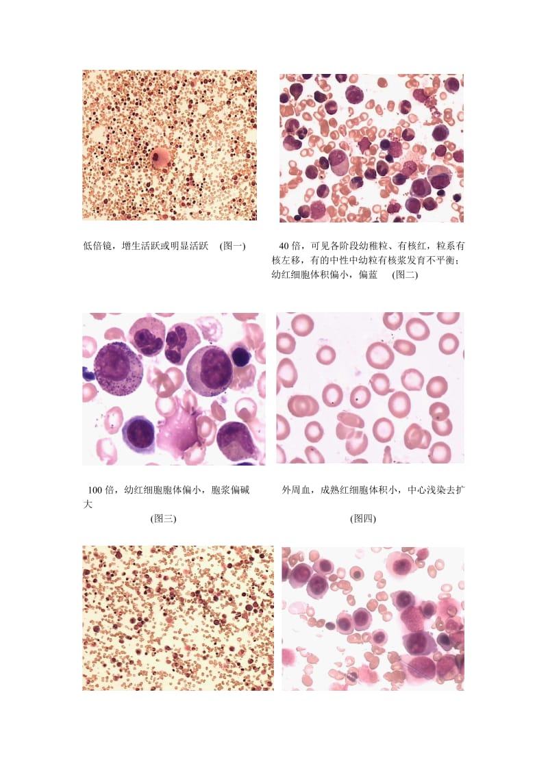 血细胞形态图片.doc_第1页