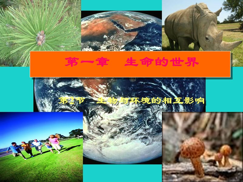 七年級生物上冊 第一章 第二節(jié) 生物與環(huán)境的相互影響課件 北師大版.ppt_第1頁