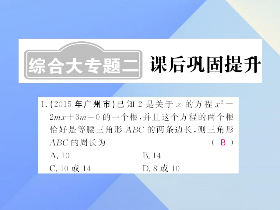 中考數(shù)學一輪復習 課后鞏固提升 綜合大專題二課件 新人教版.ppt_第1頁