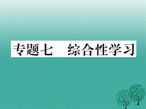 七年級語文下冊 專題復(fù)習(xí)七 綜合性學(xué)習(xí)課件 蘇教版.ppt