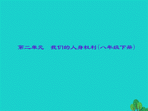 中考政治總復(fù)習(xí) 主題二 法律教育 第二單元 我們的人身權(quán)利（八下）課件 新人教版.ppt