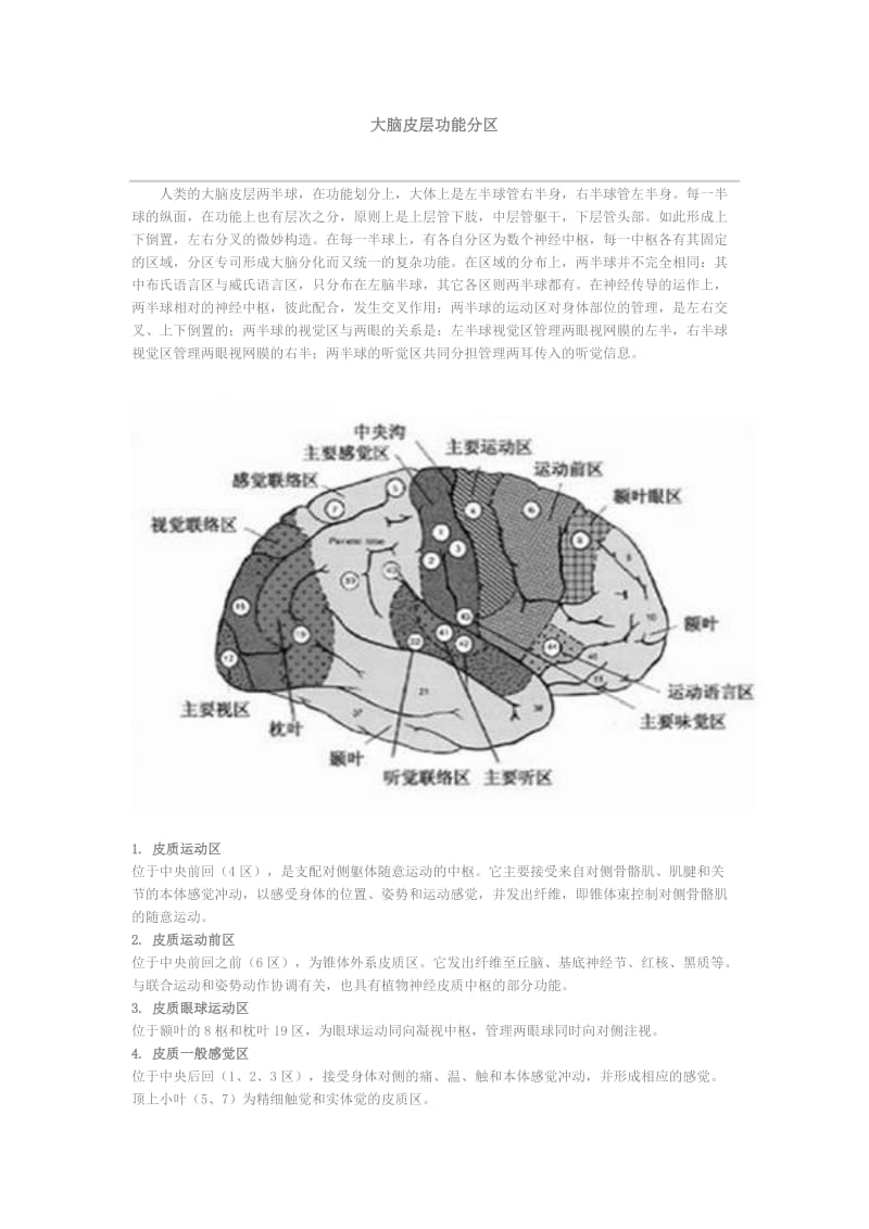 大脑皮层功能分区.doc_第1页