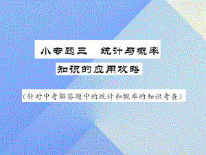 中考數(shù)學(xué) 第二輪 題型專攻 小專題三 統(tǒng)計(jì)與概率知識的應(yīng)用攻略課件 新人教版.ppt