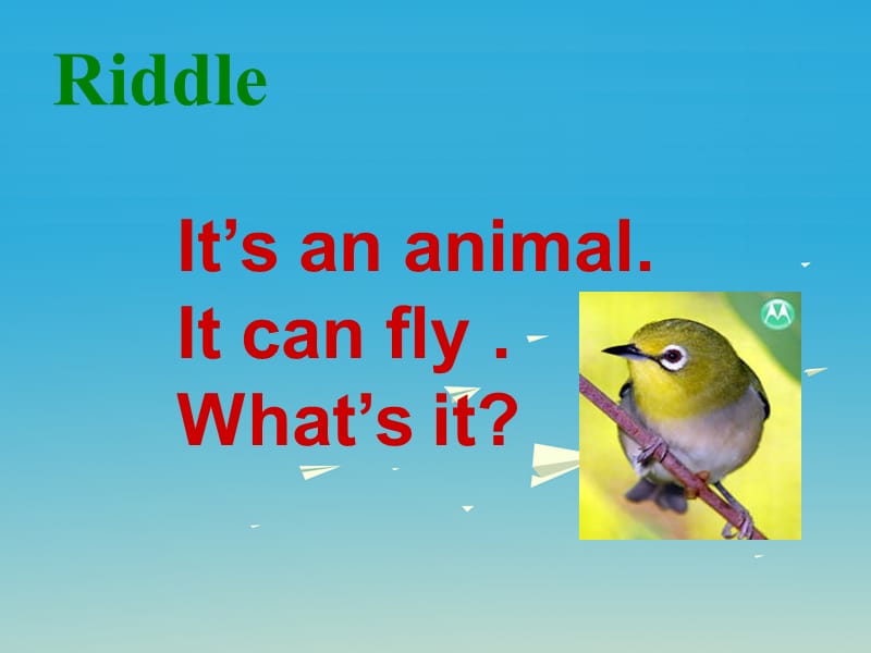 三年级英语下册 Lesson O Can you fly课件1 川教版（三起）.ppt_第3页