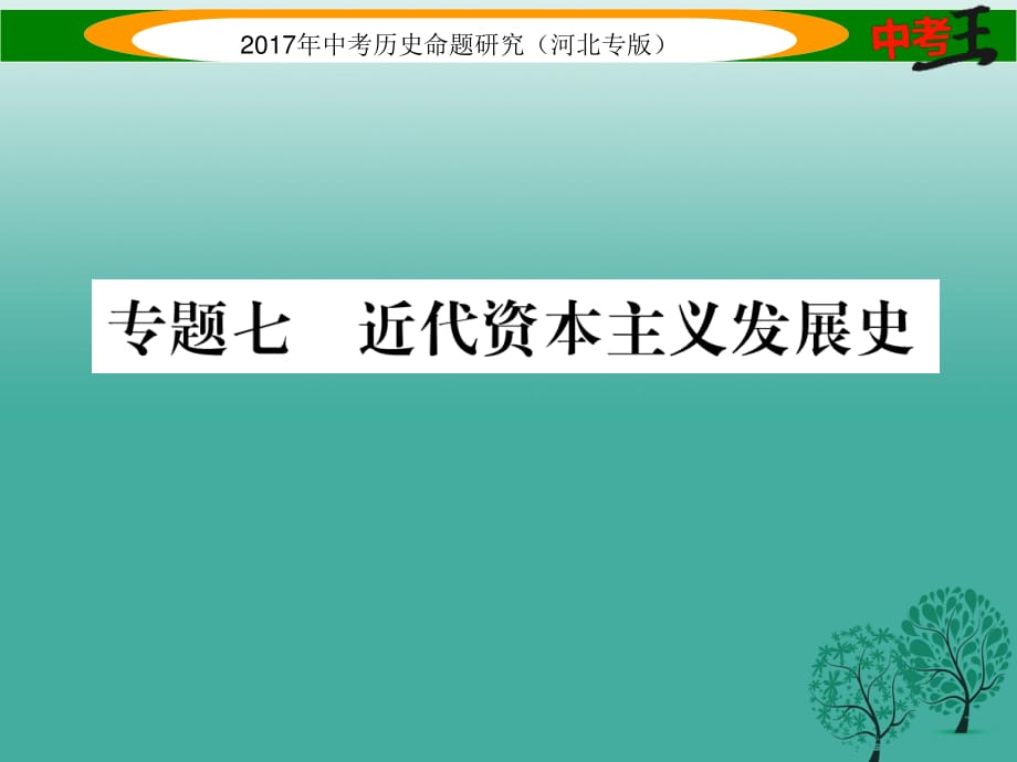 中考?xì)v史總復(fù)習(xí) 熱點(diǎn)專題速查 專題七 近代資本主義發(fā)展史課件.ppt_第1頁(yè)