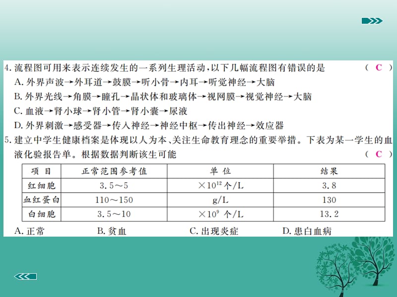 七年级生物下学期期末综合评价卷课件 （新版）北师大版.ppt_第3页