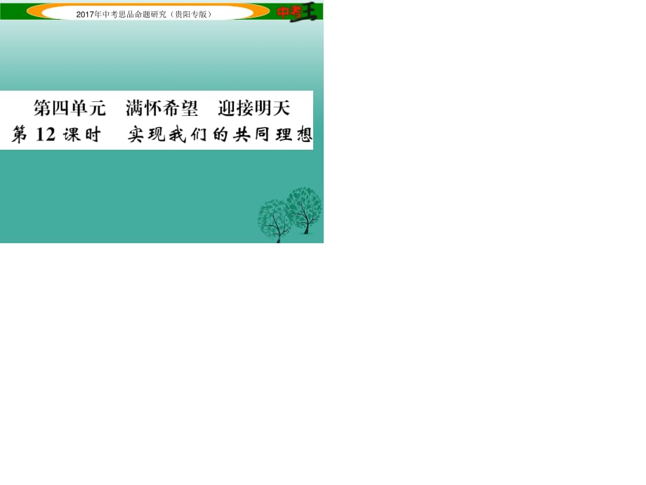 中考政治总复习 第四单元 满怀希望 迎接明天（第12课时 实现我们的共同理想）精练课件.ppt_第1页