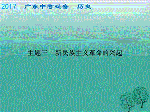 中考?xì)v史總復(fù)習(xí) 中國近代史 主題三 新民族主義革命的興起課件.ppt