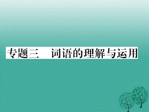 七年級(jí)語文下冊(cè) 專題復(fù)習(xí)三 詞語的理解與運(yùn)用課件 新人教版.ppt