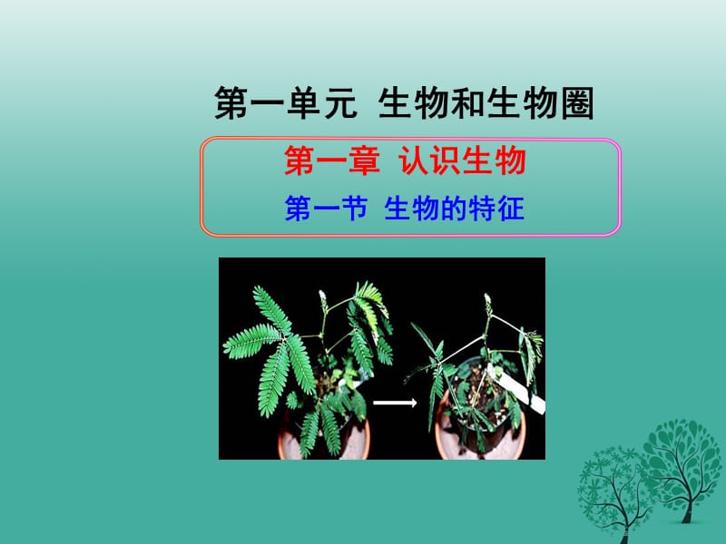 七年级生物上册 11_1 生物的特征课件 新人教版.ppt_第1页