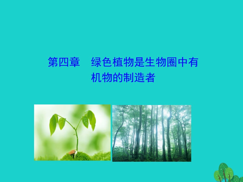 七年級生物上冊 3.4 綠色植物是生物圈中有機(jī)物的制造者教學(xué)課件 （新版）新人教版.ppt_第1頁