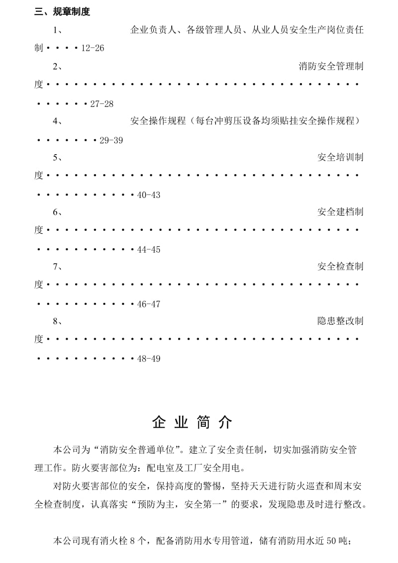 公司安全规范化管理制度(安检备案文件).doc_第3页