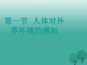 七年級生物下冊 4_6_1 人體對外界環(huán)境的感知課件 （新版）新人教版.ppt