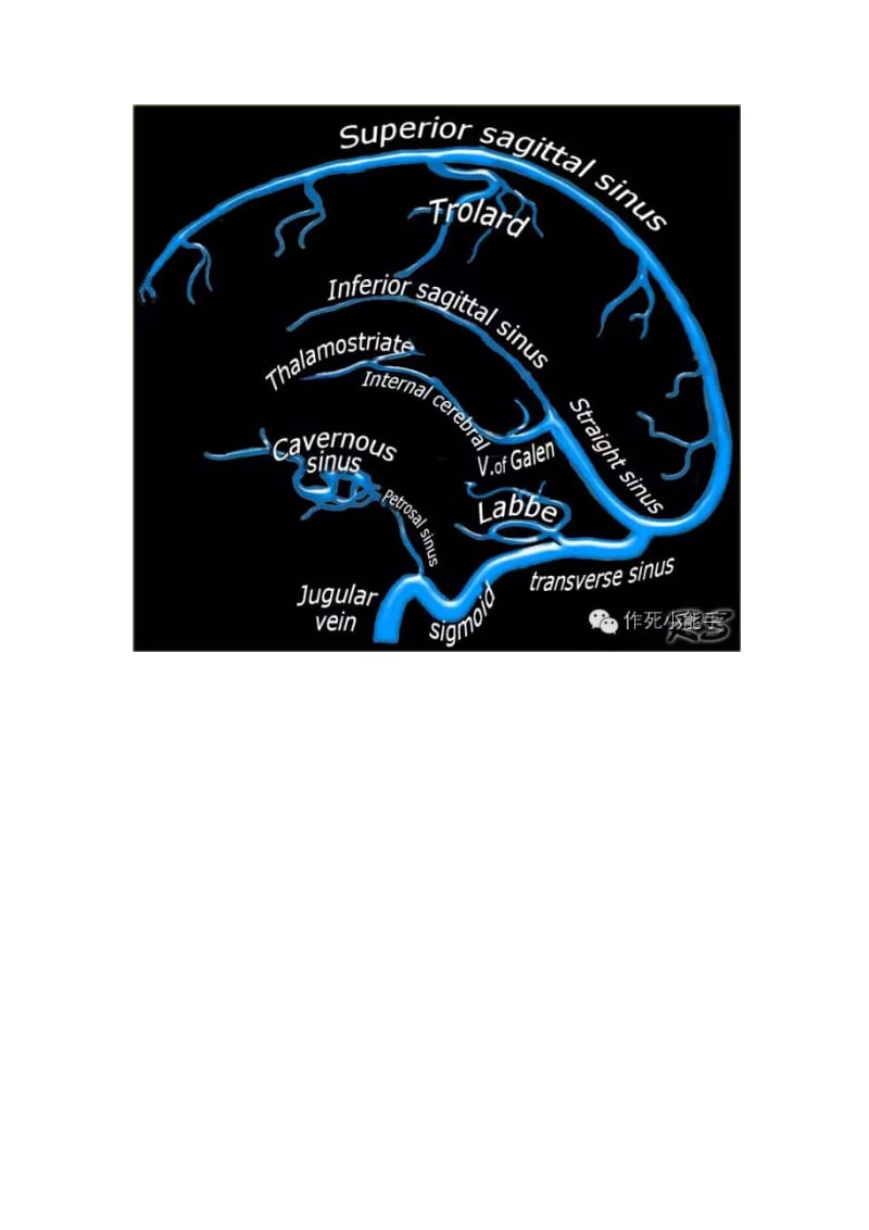 大脑静脉解剖基础及影像.docx_第2页