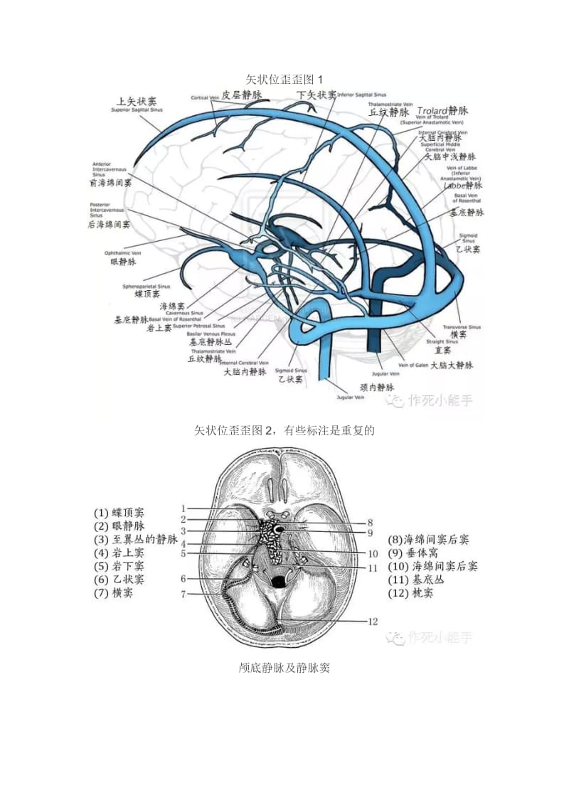 大脑静脉解剖基础及影像.docx_第3页