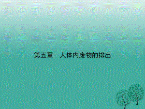 七年級生物下冊 第四單元 第五章 人體內(nèi)廢物的排出課件 （新版）新人教版.ppt