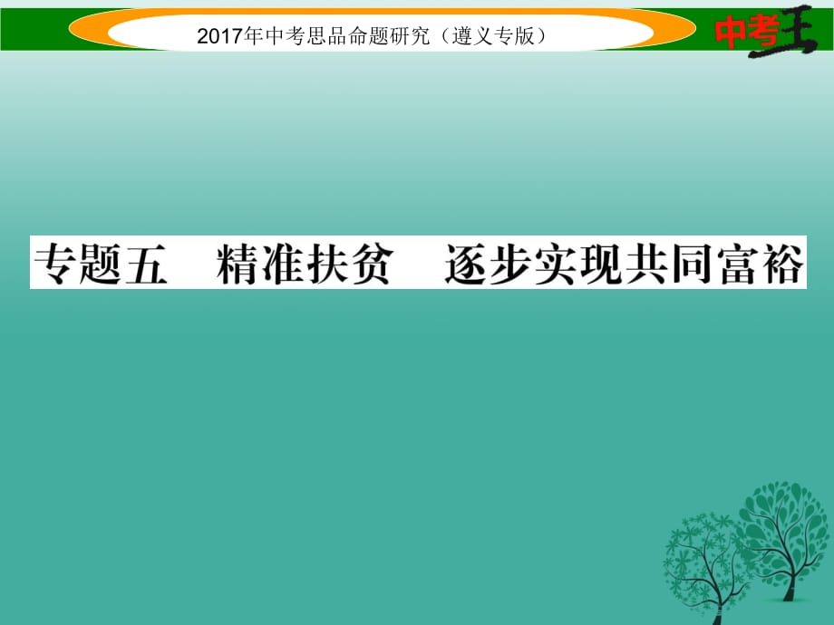 中考政治總復(fù)習(xí) 第二編 中考熱點速查篇 專題五 精準(zhǔn)扶貧 逐步實現(xiàn)共同富裕課件.ppt_第1頁