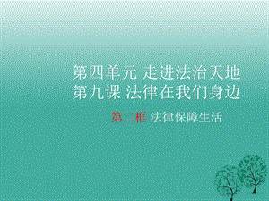 七年級(jí)道德與法治下冊(cè) 4_9_2 法律保障生活課件3 新人教版.ppt