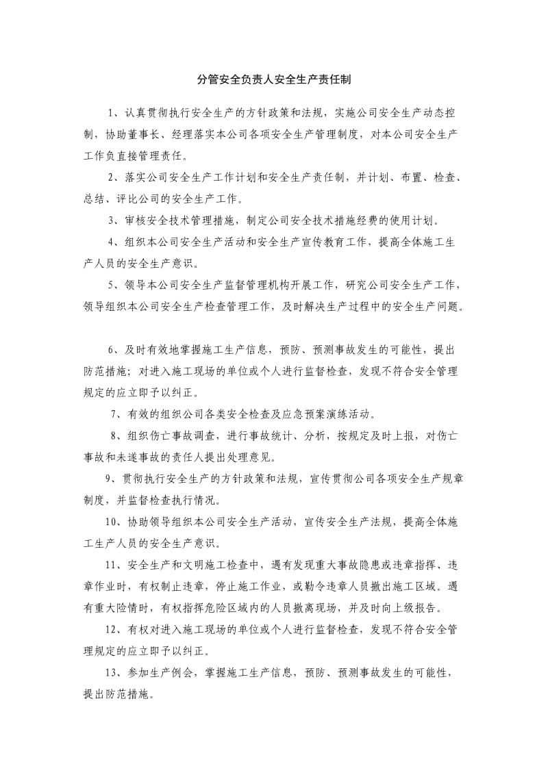 主要负责人安全生产责任制.doc_第2页