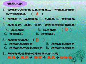 七年級(jí)生物上冊(cè) 2_2_3 植物體的結(jié)構(gòu)層次課件 （新版）新人教版1.ppt